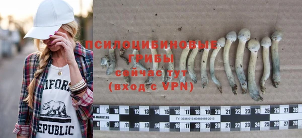 хмурый Алексеевка