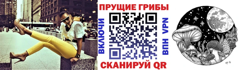 где найти наркотики Нюрба Псилоцибиновые грибы Cubensis